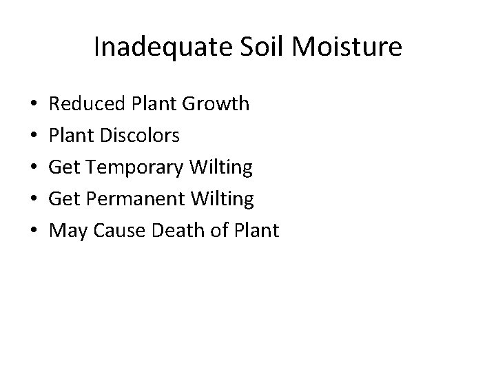Inadequate Soil Moisture • • • Reduced Plant Growth Plant Discolors Get Temporary Wilting