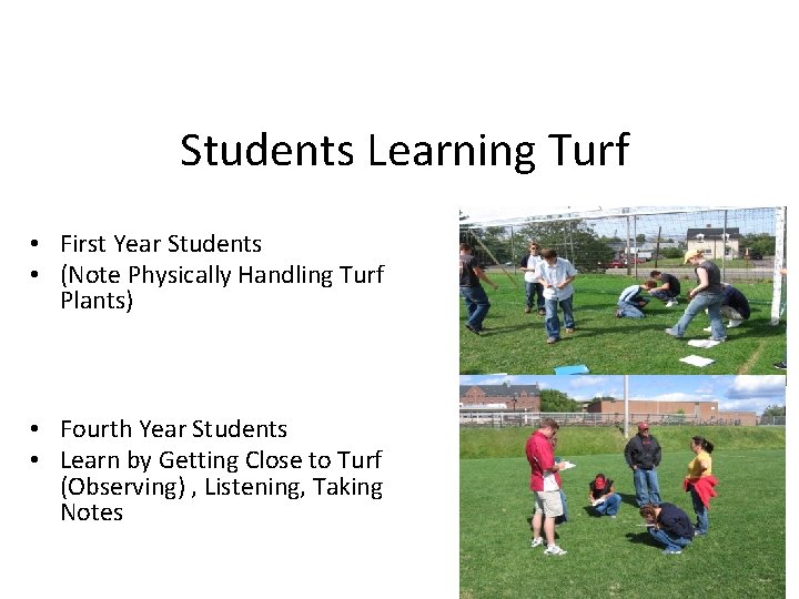 Students Learning Turf • First Year Students • (Note Physically Handling Turf Plants) •