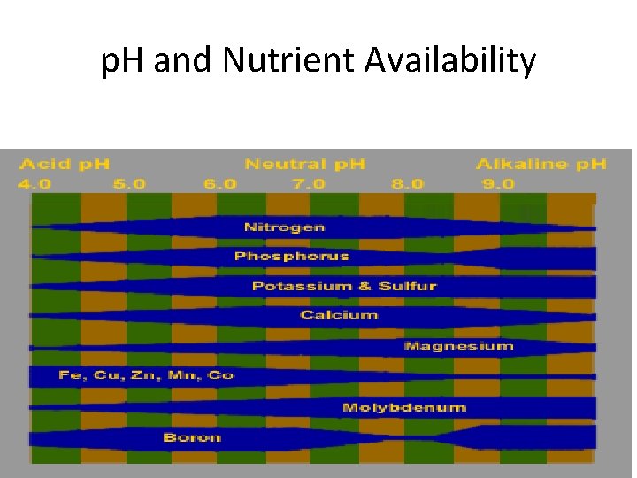 p. H and Nutrient Availability 