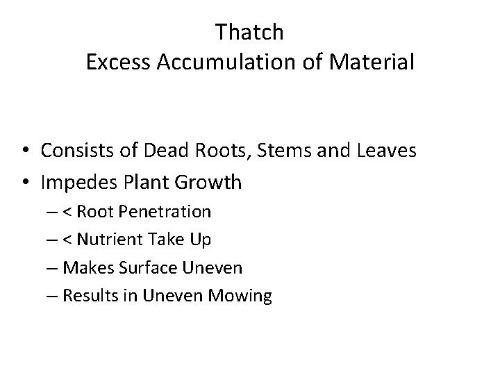 Thatch Excess Accumulation of Material • Consists of Dead Roots, Stems and Leaves •