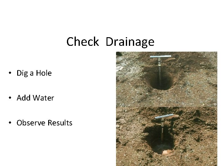 Check Drainage • Dig a Hole • Add Water • Observe Results 