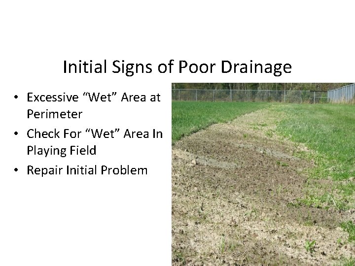Initial Signs of Poor Drainage • Excessive “Wet” Area at Perimeter • Check For