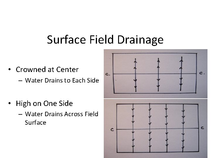 Surface Field Drainage • Crowned at Center – Water Drains to Each Side •
