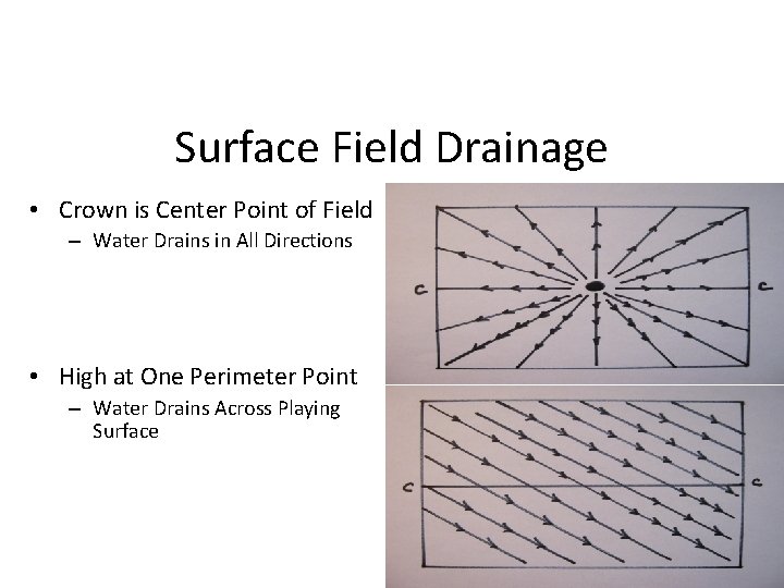 Surface Field Drainage • Crown is Center Point of Field – Water Drains in