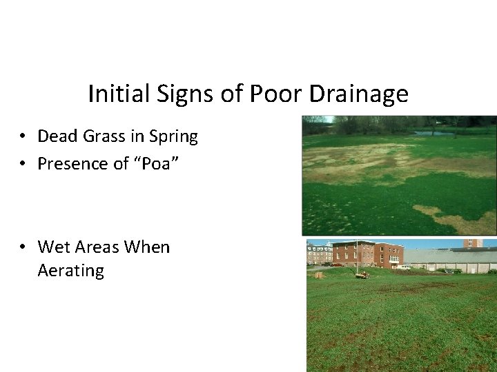 Initial Signs of Poor Drainage • Dead Grass in Spring • Presence of “Poa”