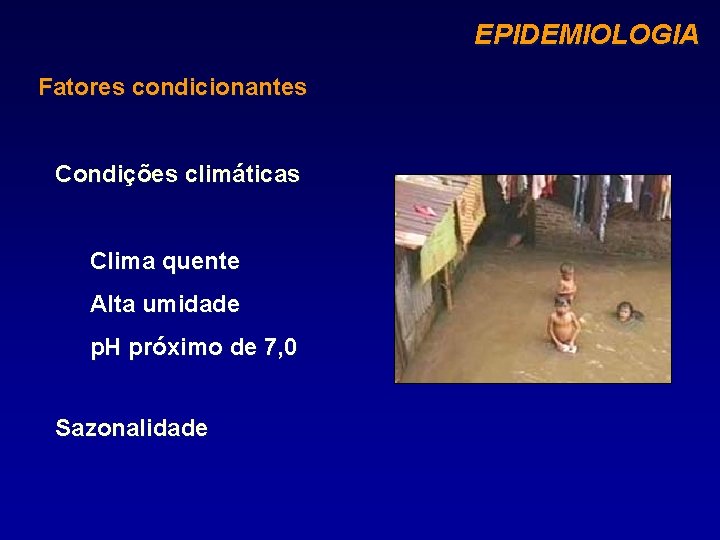 EPIDEMIOLOGIA Fatores condicionantes Condições climáticas Clima quente Alta umidade p. H próximo de 7,