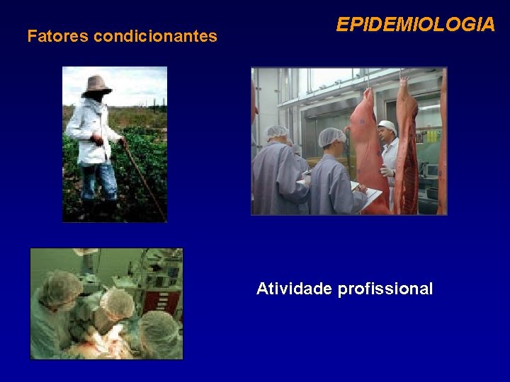 Fatores condicionantes EPIDEMIOLOGIA Atividade profissional 