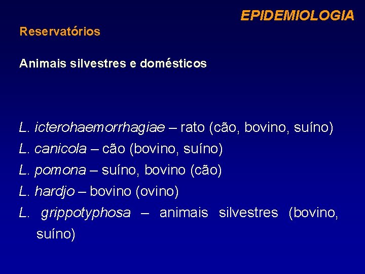 EPIDEMIOLOGIA Reservatórios Animais silvestres e domésticos L. icterohaemorrhagiae – rato (cão, bovino, suíno) L.