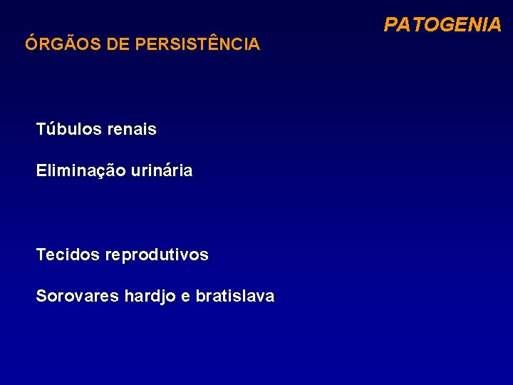 ÓRGÃOS DE PERSISTÊNCIA Túbulos renais Eliminação urinária Tecidos reprodutivos Sorovares hardjo e bratislava PATOGENIA