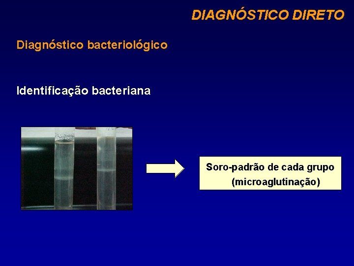 DIAGNÓSTICO DIRETO Diagnóstico bacteriológico Identificação bacteriana Soro-padrão de cada grupo (microaglutinação) 