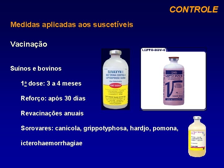 CONTROLE Medidas aplicadas aos suscetíveis Vacinação Suínos e bovinos 1 a dose: 3 a