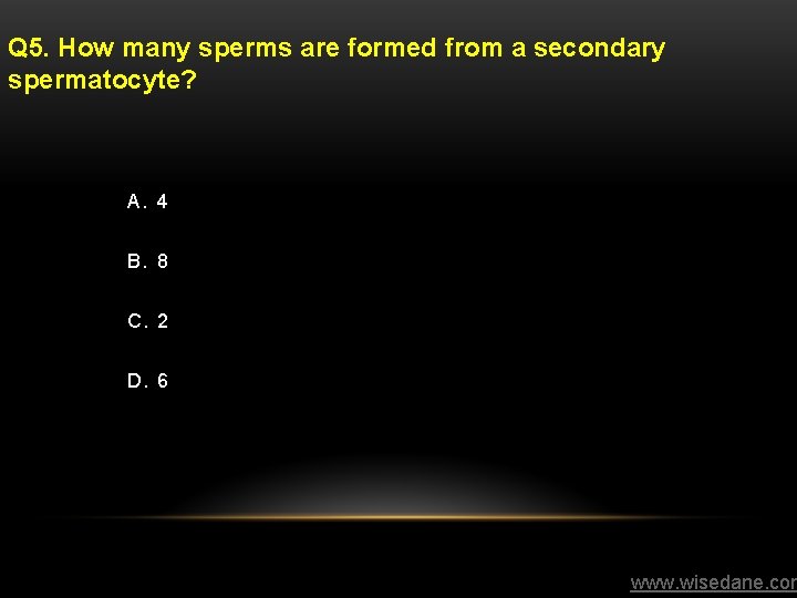 Q 5. How many sperms are formed from a secondary spermatocyte? A. 4 B.