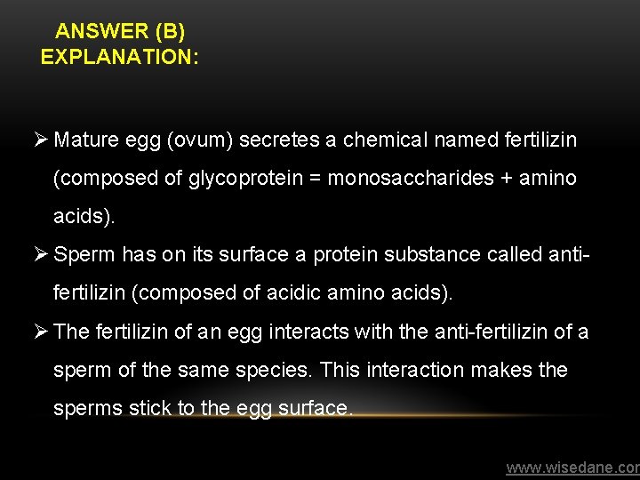 ANSWER (B) EXPLANATION: Ø Mature egg (ovum) secretes a chemical named fertilizin (composed of