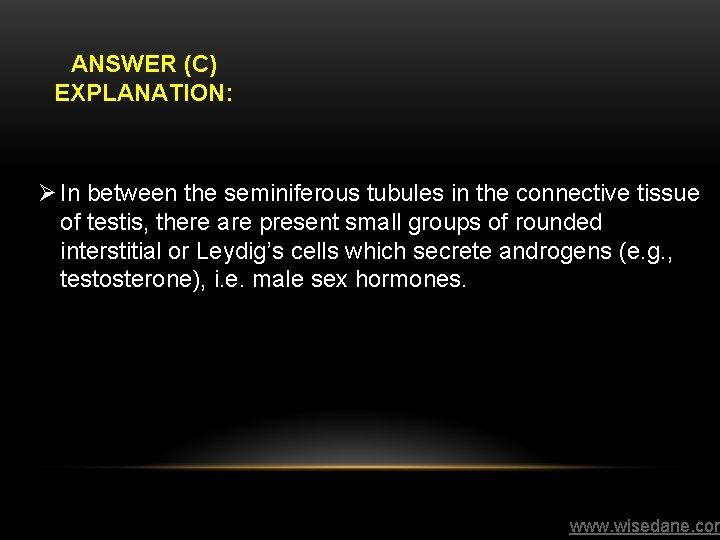 ANSWER (C) EXPLANATION: Ø In between the seminiferous tubules in the connective tissue of