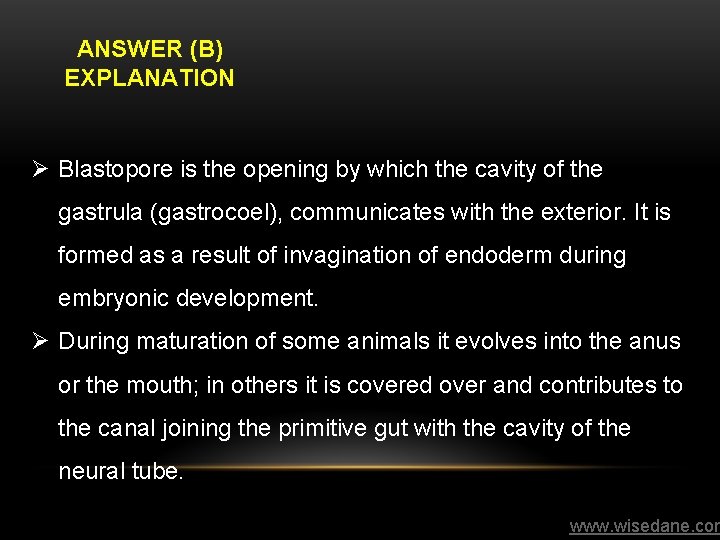 ANSWER (B) EXPLANATION Ø Blastopore is the opening by which the cavity of the