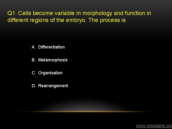 Q 1. Cells become variable in morphology and function in different regions of the