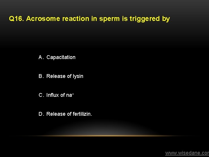 Q 16. Acrosome reaction in sperm is triggered by A. Capacitation B. Release of