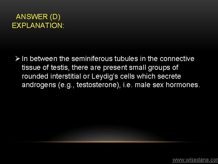 ANSWER (D) EXPLANATION: Ø In between the seminiferous tubules in the connective tissue of