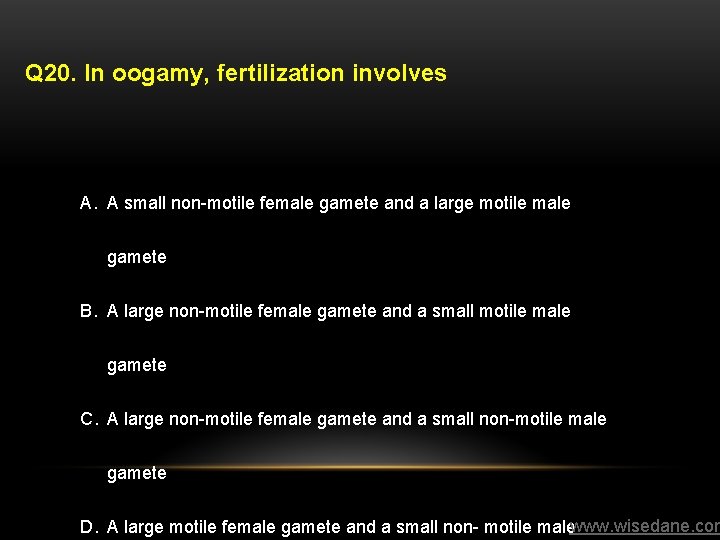 Q 20. In oogamy, fertilization involves A. A small non-motile female gamete and a