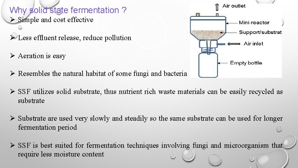 Why solid state fermentation ? Ø Simple and cost effective Ø Less effluent release,