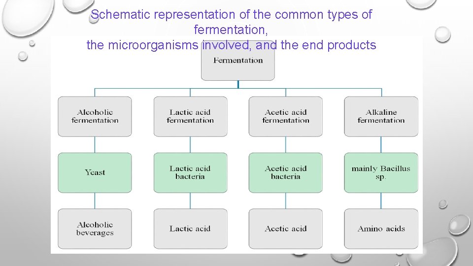 Schematic representation of the common types of fermentation, the microorganisms involved, and the end