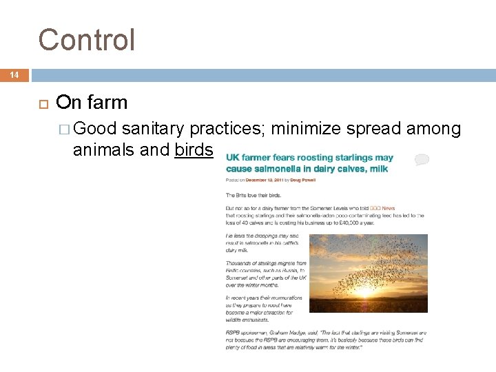 Control 14 On farm � Good sanitary practices; minimize spread among animals and birds