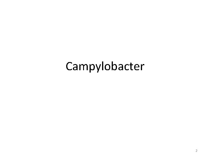Campylobacter 2 
