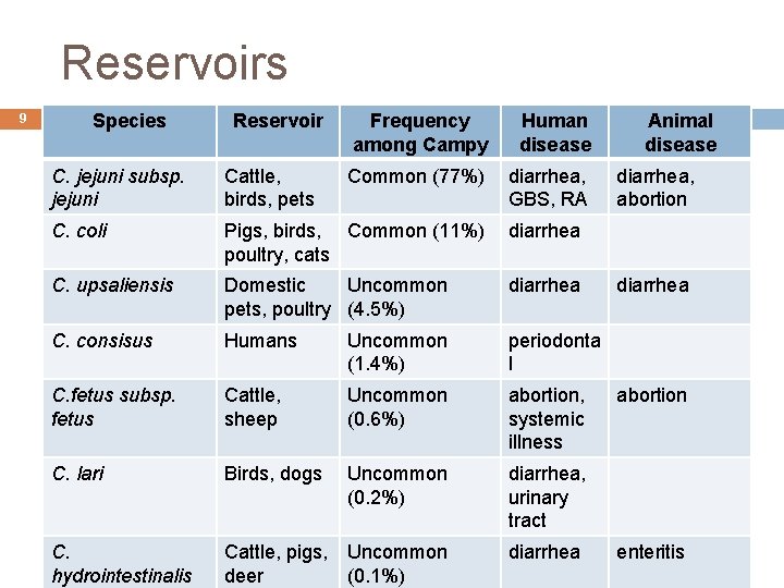 Reservoirs 9 Species Reservoir Frequency among Campy Human disease Common (77%) diarrhea, GBS, RA