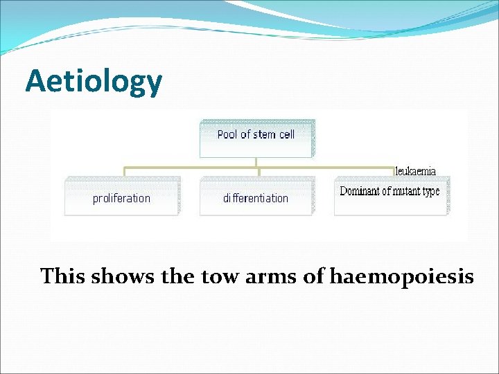Aetiology This shows the tow arms of haemopoiesis 