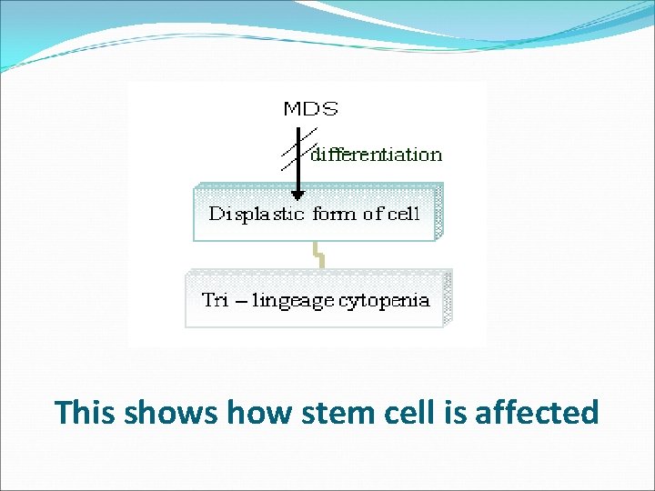 This shows how stem cell is affected 