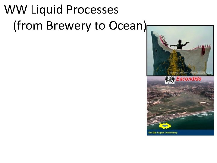 WW Liquid Processes (from Brewery to Ocean) Escondido 