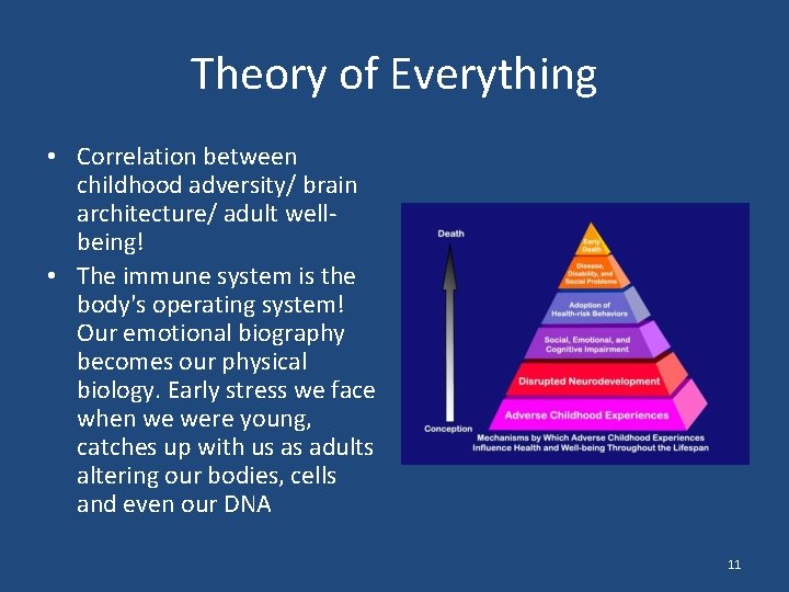 Theory of Everything • Correlation between childhood adversity/ brain architecture/ adult wellbeing! • The