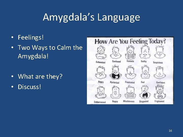 Amygdala’s Language • Feelings! • Two Ways to Calm the Amygdala! • What are