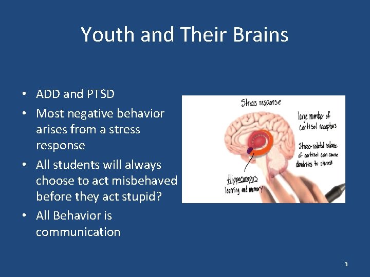 Youth and Their Brains • ADD and PTSD • Most negative behavior arises from