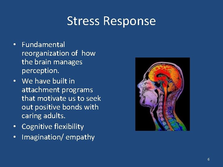 Stress Response • Fundamental reorganization of how the brain manages perception. • We have