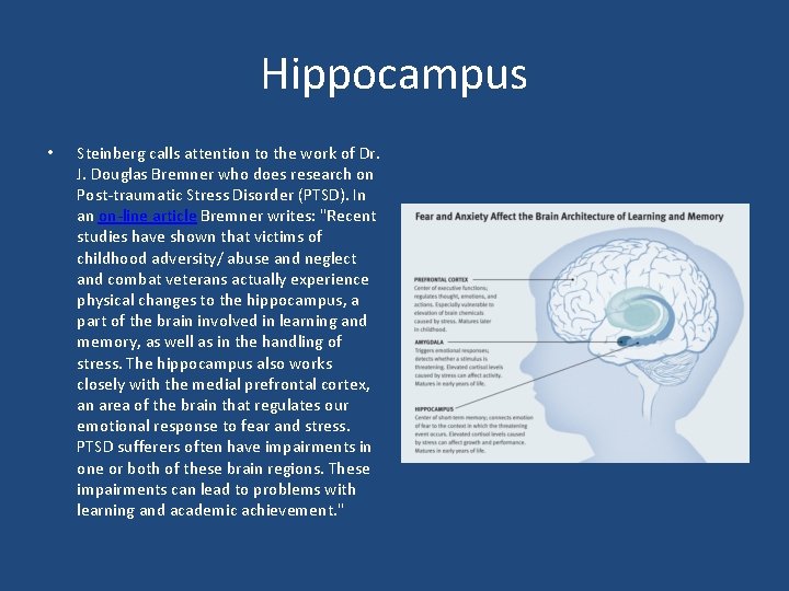 Hippocampus • Steinberg calls attention to the work of Dr. J. Douglas Bremner who