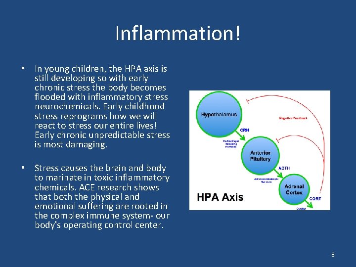 Inflammation! • In young children, the HPA axis is still developing so with early