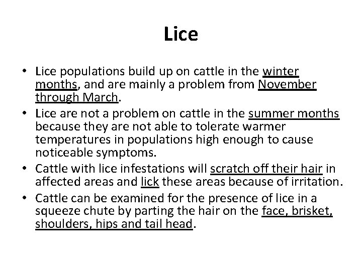 Lice • Lice populations build up on cattle in the winter months, and are