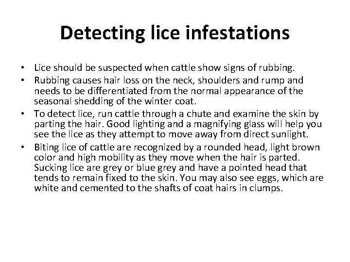 Detecting lice infestations • Lice should be suspected when cattle show signs of rubbing.