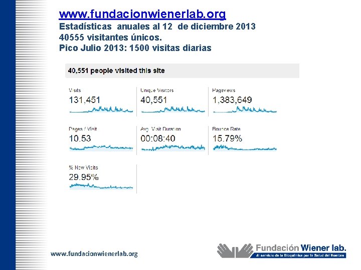 www. fundacionwienerlab. org Estadísticas anuales al 12 de diciembre 2013 40555 visitantes únicos. Pico