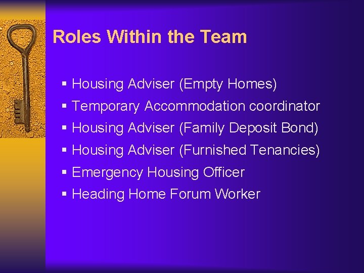 Roles Within the Team § Housing Adviser (Empty Homes) § Temporary Accommodation coordinator §
