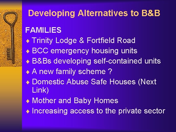 Developing Alternatives to B&B FAMILIES ¨ Trinity Lodge & Fortfield Road ¨ BCC emergency