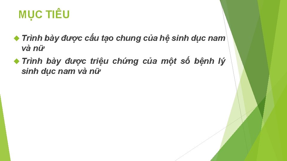 MỤC TIÊU Trình bày được cấu tạo chung của hệ sinh dục nam và
