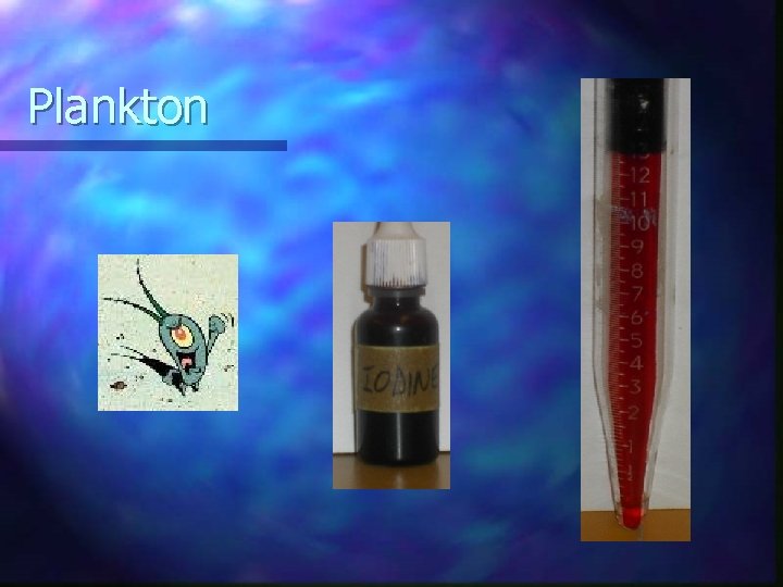 Plankton 