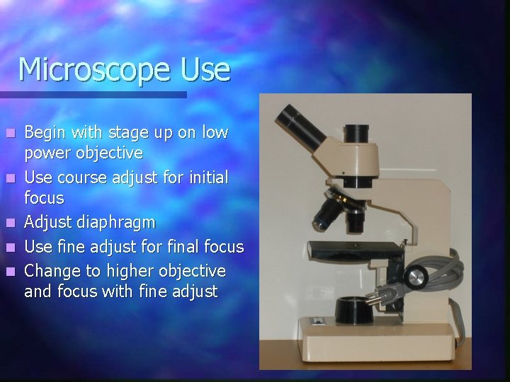 Microscope Use n n n Begin with stage up on low power objective Use