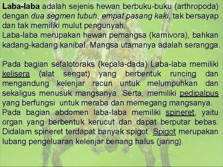 Laba-laba adalah sejenis hewan berbuku-buku (arthropoda) dengan dua segmen tubuh, empat pasang kaki, tak