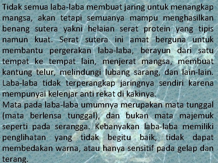 Tidak semua laba-laba membuat jaring untuk menangkap mangsa, akan tetapi semuanya mampu menghasilkan benang