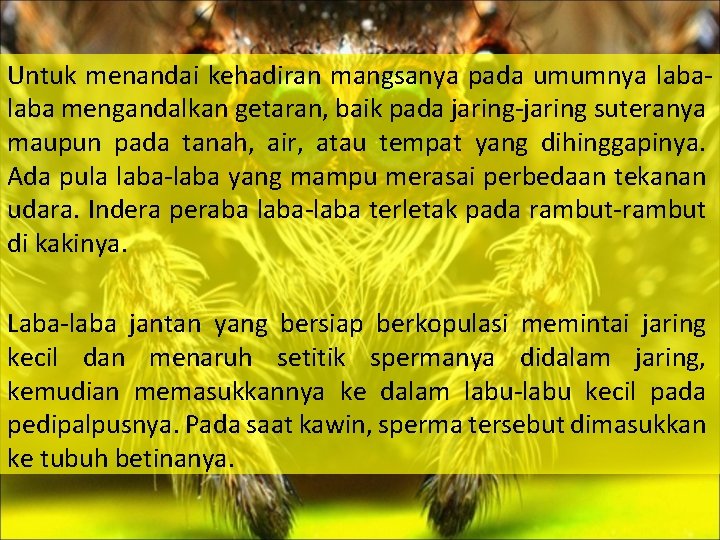 Untuk menandai kehadiran mangsanya pada umumnya laba mengandalkan getaran, baik pada jaring-jaring suteranya maupun