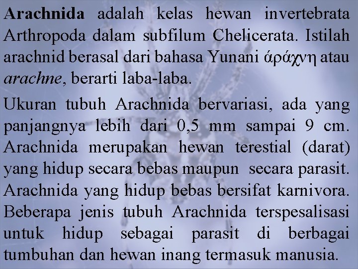 Arachnida adalah kelas hewan invertebrata Arthropoda dalam subfilum Chelicerata. Istilah arachnid berasal dari bahasa