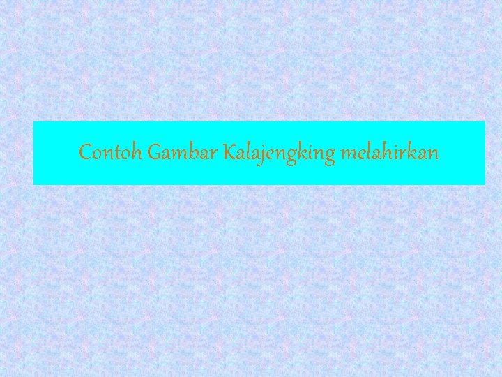 Contoh Gambar Kalajengking melahirkan 